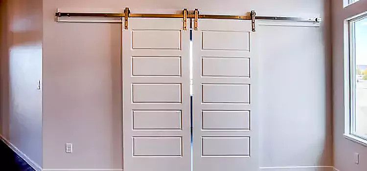 Glass Barn Door with Installation Hardware Kit Delano